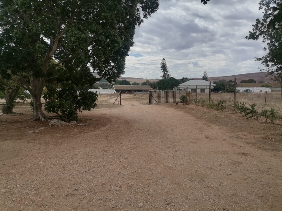 To Let commercial Property for Rent in Moorreesburg Rural Western Cape